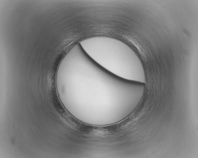X0000116860455200912220945