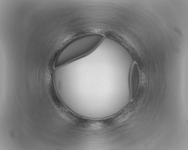 X0000116860456200912220945