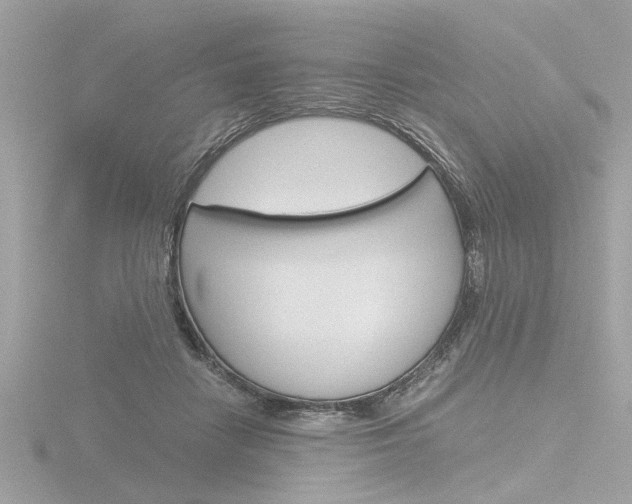 X0000116860458200912220945