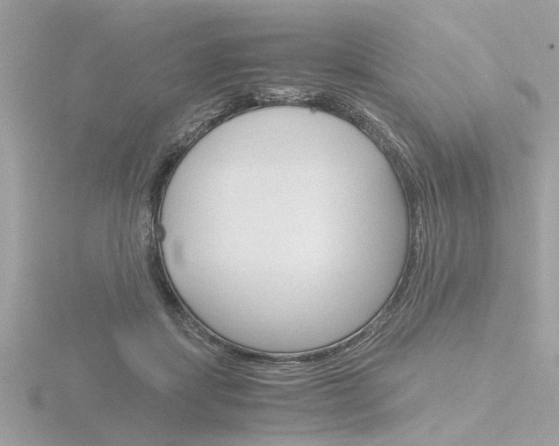 X0000116860459200912220945