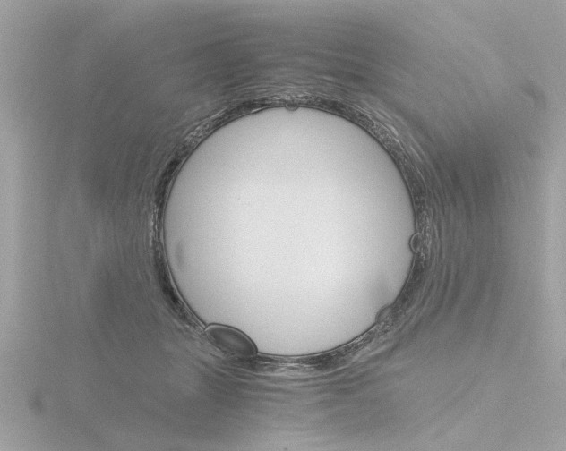 X0000116860463200912220946