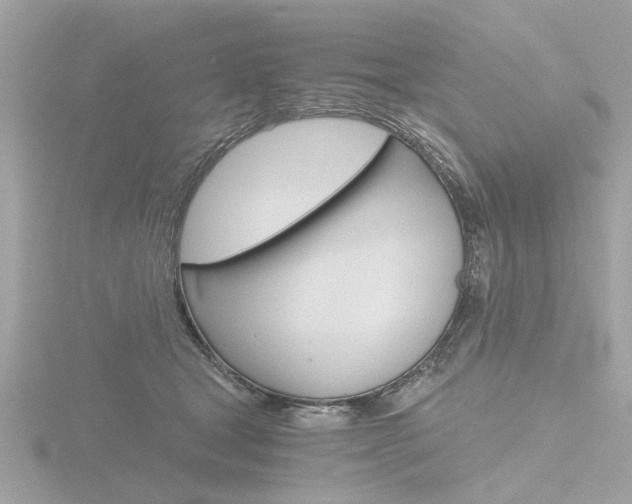 X0000116860465200912220946
