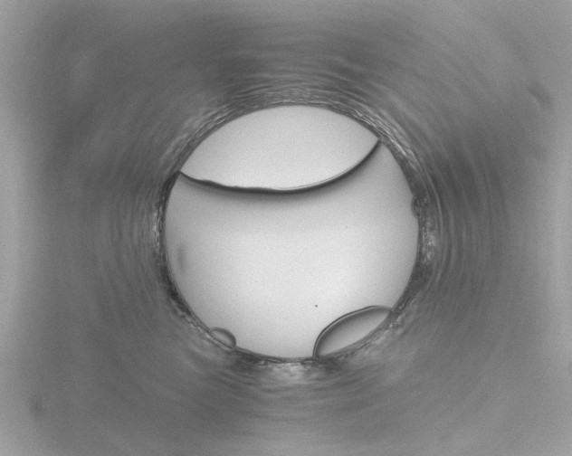 X0000116860473200912220946