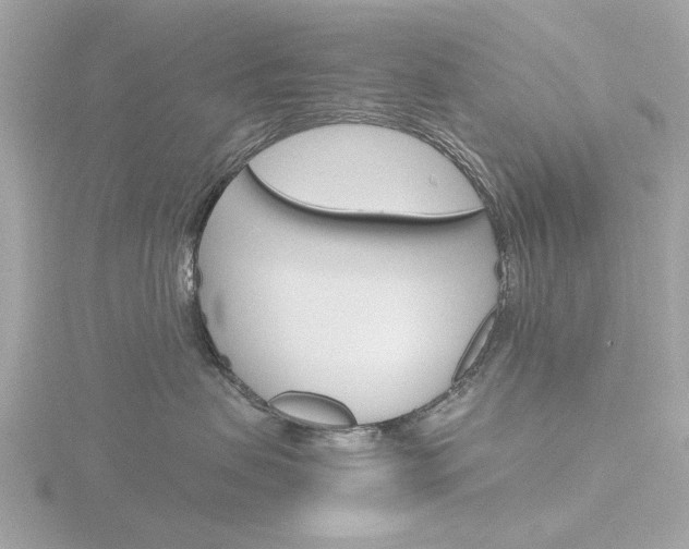 X0000116860479200912220946