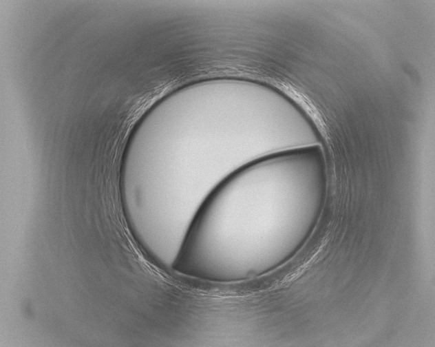 X0000116860481200912220945