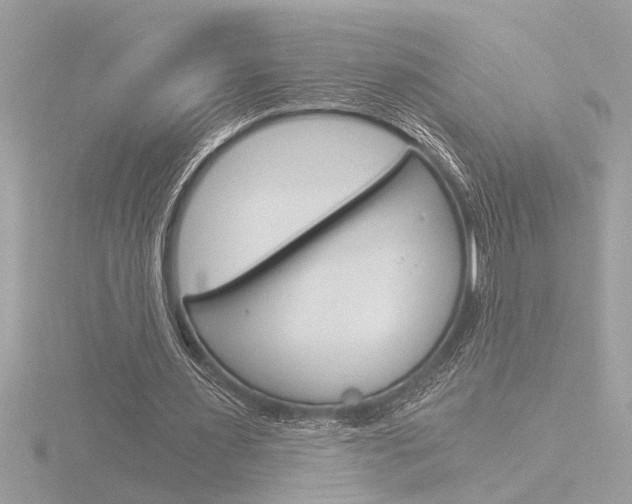 X0000116860483200912220945