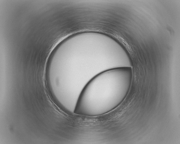 X0000116860484200912220945