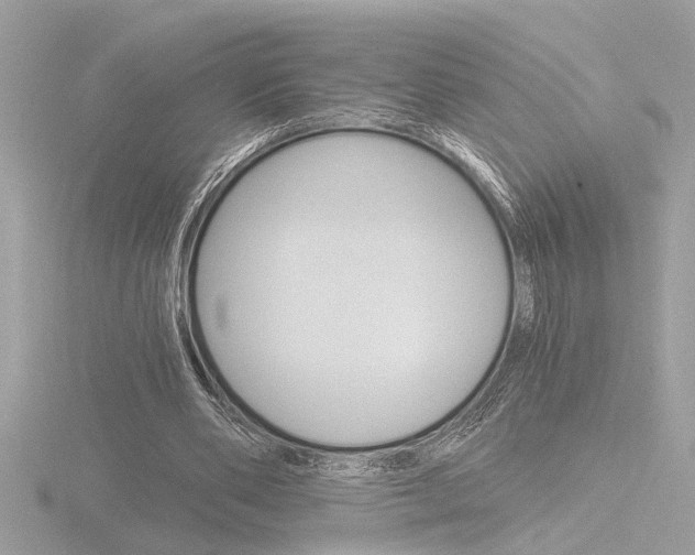 X0000116860486200912220945
