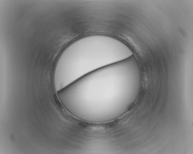 X0000116860500200912220945