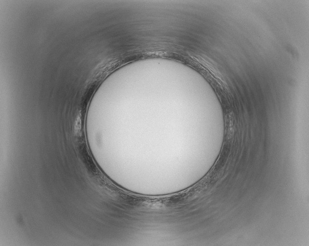 X0000116860502200912220945