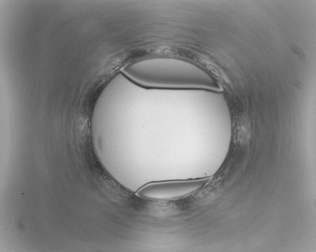 X0000116860521200912220945