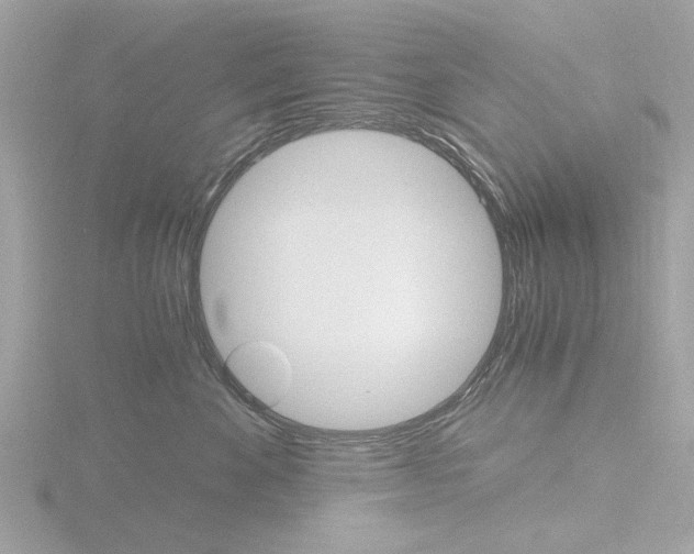X0000116860524200912220945