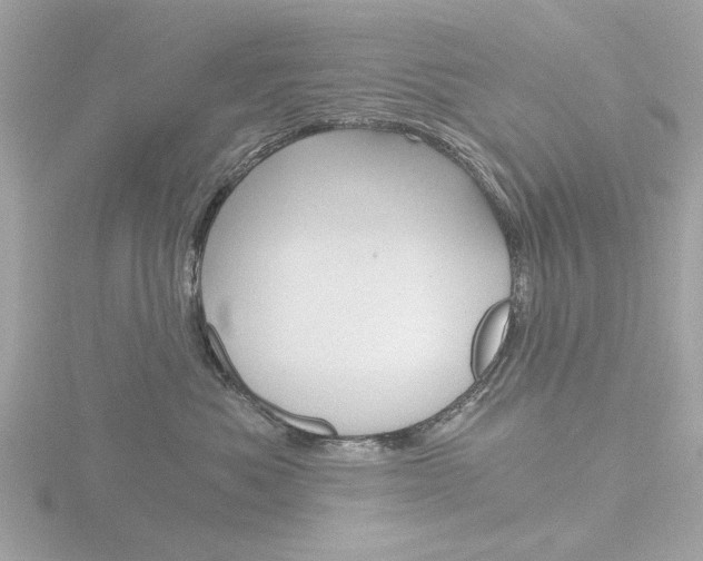 X0000116860525200912220945