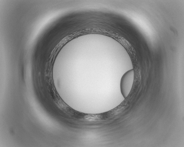 X0000116860526200912220945