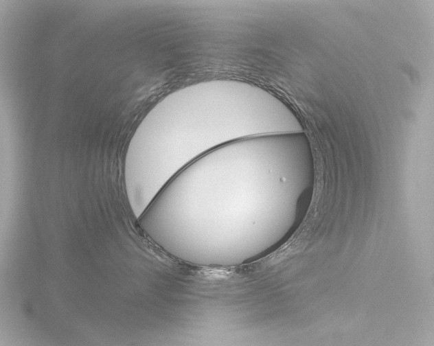 X0000116860528200912220945