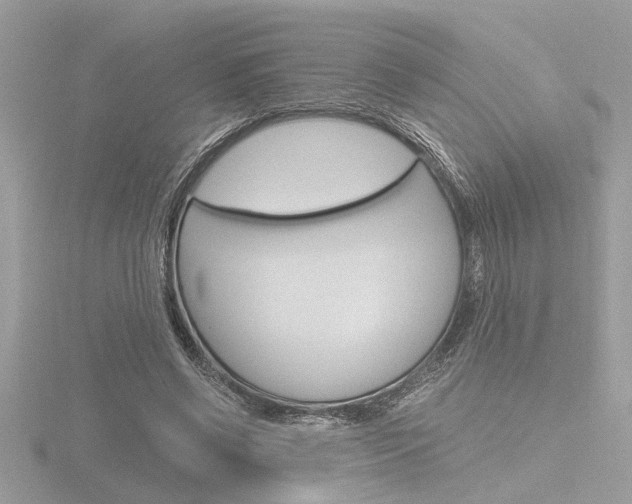 X0000116860542200912220944