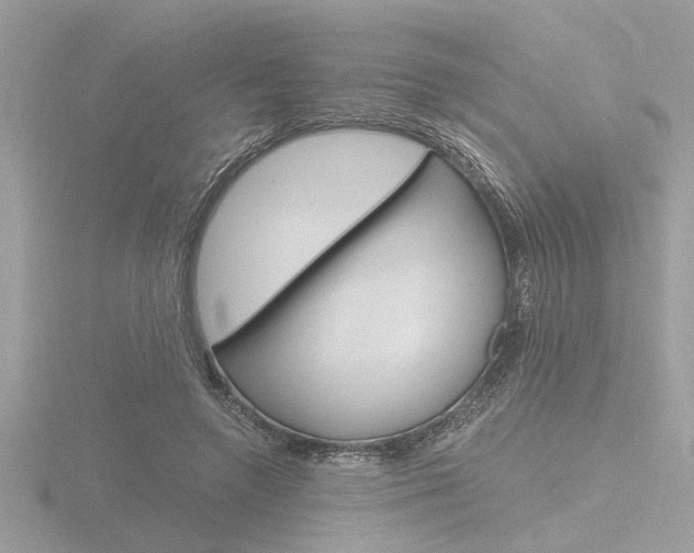 X0000116860546200912220944