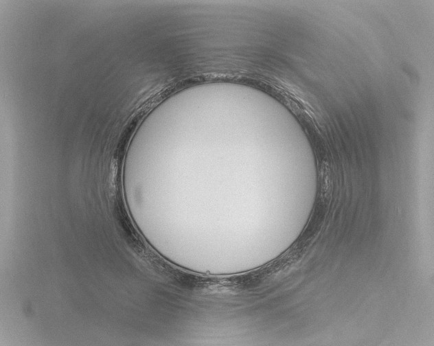 X0000116860550200912220944