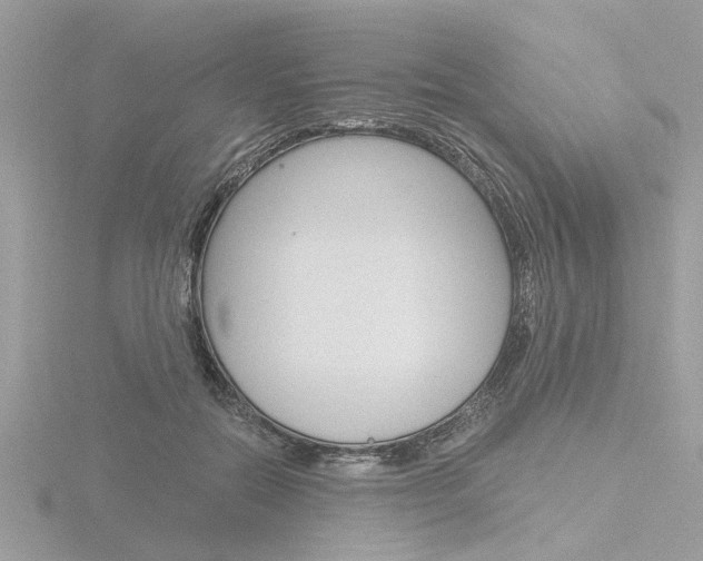 X0000116860554200912220944