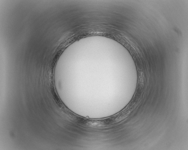 X0000116860557200912220944