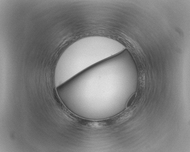 X0000116860558200912220944