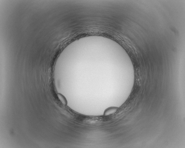 X0000116860563200912220944