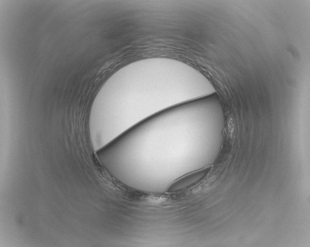 X0000116860570200912220944