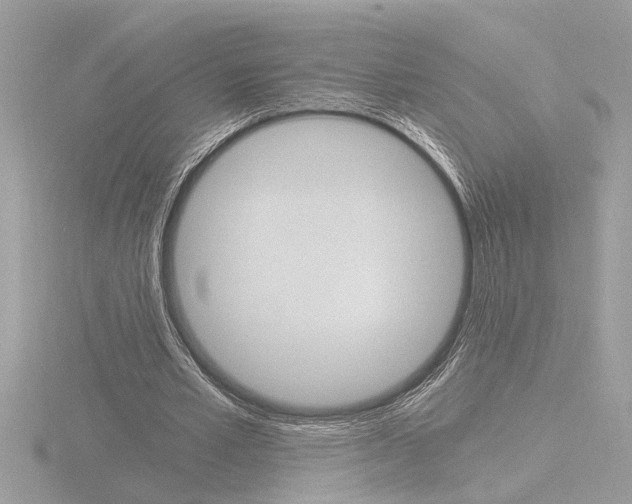 X0000116860581200912220944