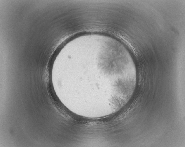 X0000116860584200912220944