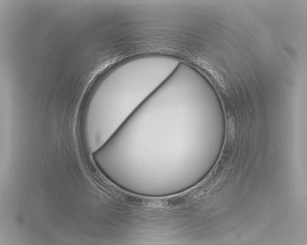 X0000116860587200912220944