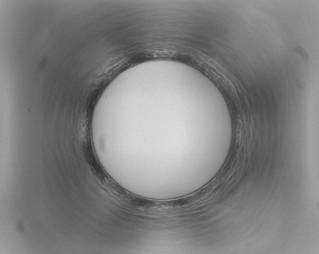 X0000116860604200912220944