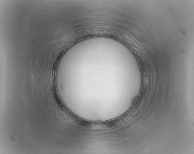X0000116860605200912220944