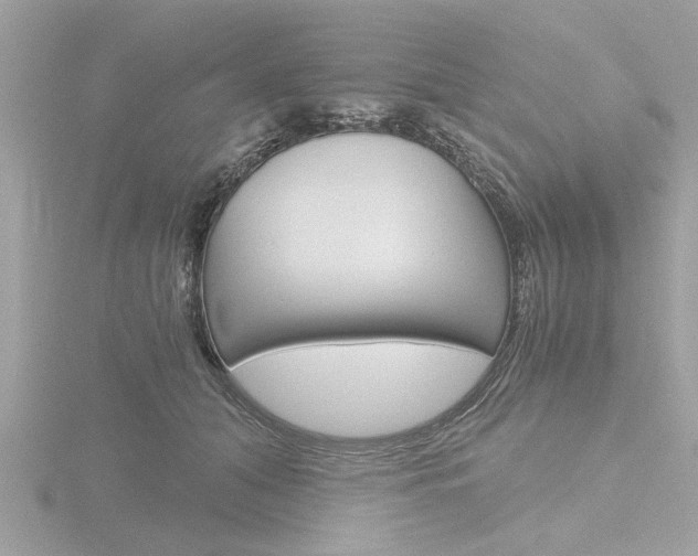 X0000116860608200912220944
