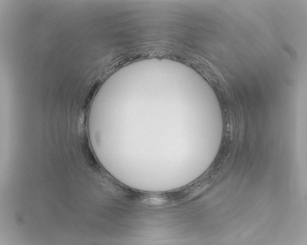 X0000116860610200912220944