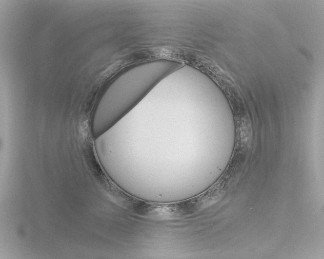 X0000116860611200912220943