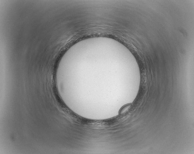 X0000116860615200912220943
