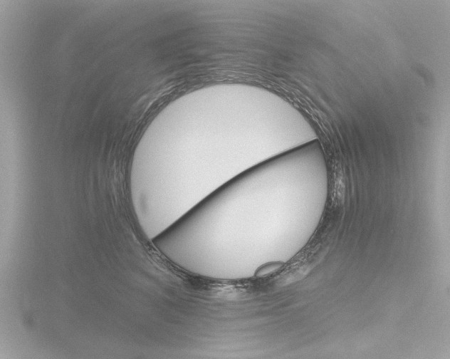 X0000116860616200912220943