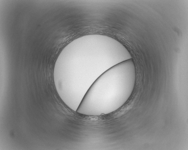 X0000116860624200912220943