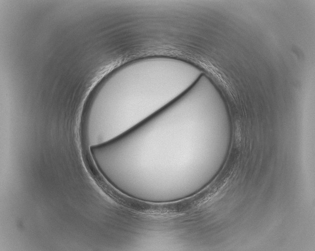 X0000116860630200912220943