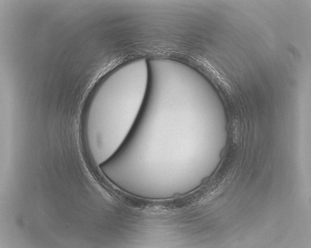 X0000116860634200912220943