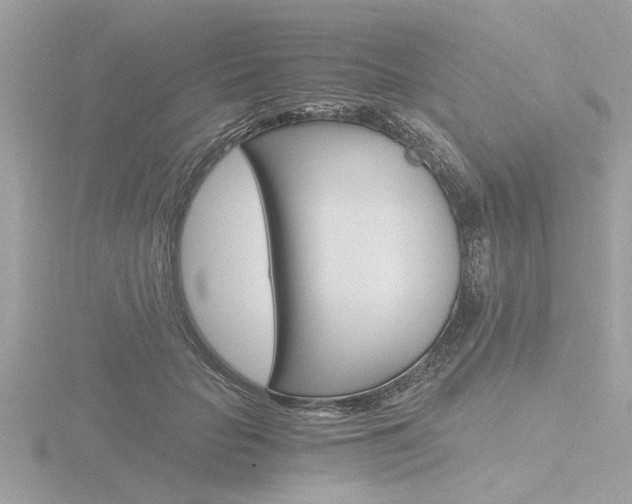 X0000116860653200912220943