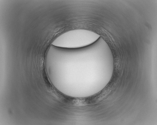 X0000116860660200912220943