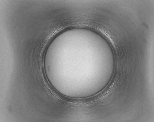 X0000116860673200912220943