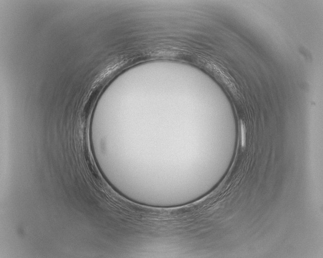 X0000116860675200912220943