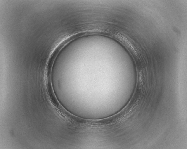 X0000116860676200912220943