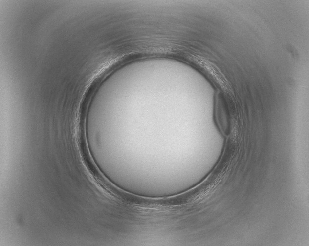 X0000116860677200912220943