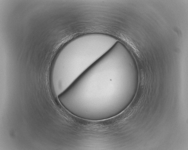 X0000116860681200912220943