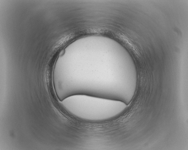 X0000116860683200912220943