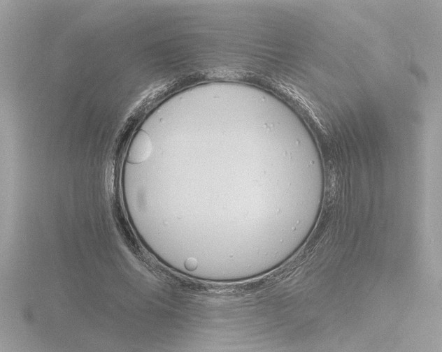 X0000116860686200912220943