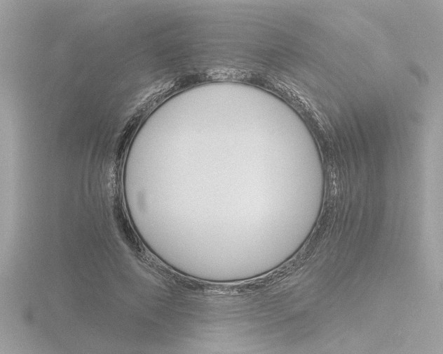X0000116860690200912220942
